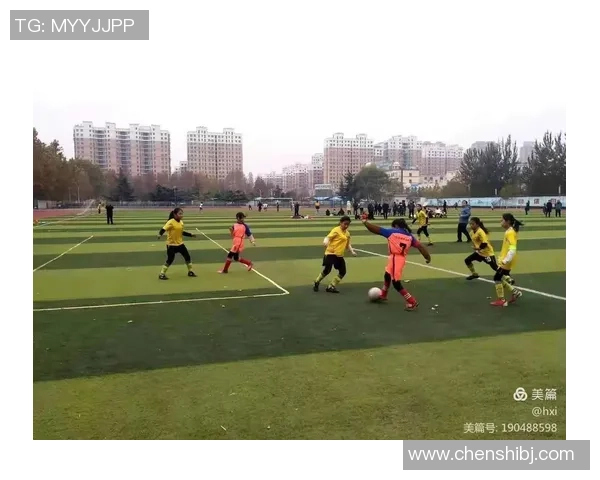 临清足球明星盘点及其对地方足球发展的影响分析 临清足球明星盘点及其对地方足球发展的影响分析