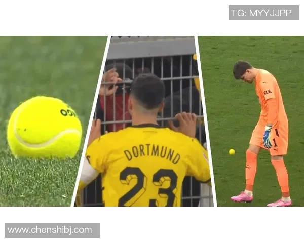 南京网球队状态引发热议球迷对表现和战术产生分歧 南京网球队状态引发热议球迷对表现和战术产生分歧