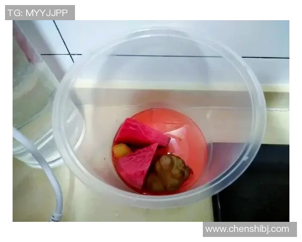 足球明星亲手制作的独特泡菜盒子让你大开眼界的美味体验 足球明星亲手制作的独特泡菜盒子让你大开眼界的美味体验