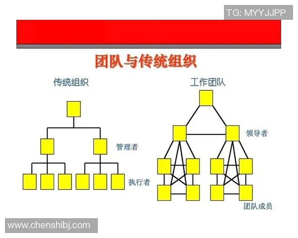 上海篮球队阵地战革新探索:战术创新与团队协作的完美结合 上海篮球队阵地战革新探索:战术创新与团队协作的完美结合
