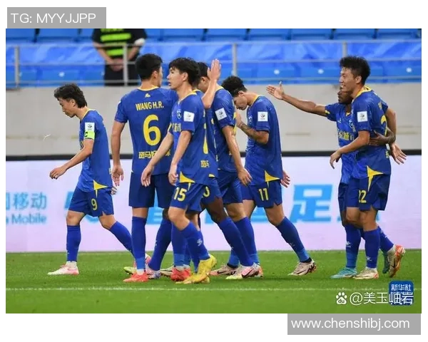 南京足球队在全国锦标赛中的技术表现分析与总结