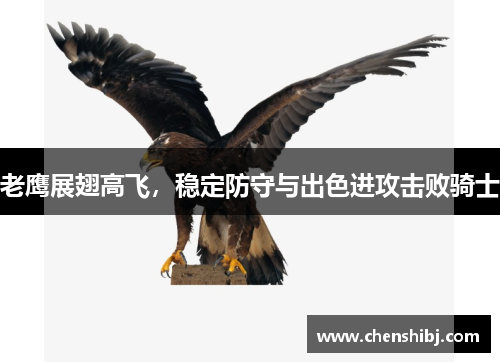 老鹰展翅高飞，稳定防守与出色进攻击败骑士