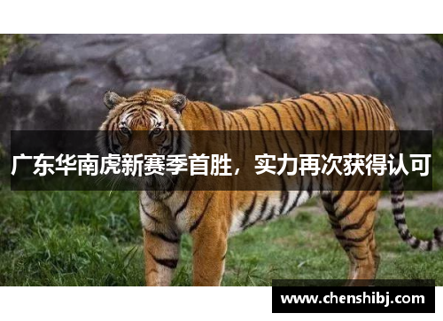 广东华南虎新赛季首胜，实力再次获得认可